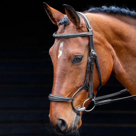 Salisbury Bridon Brampton - SHOPHORSE