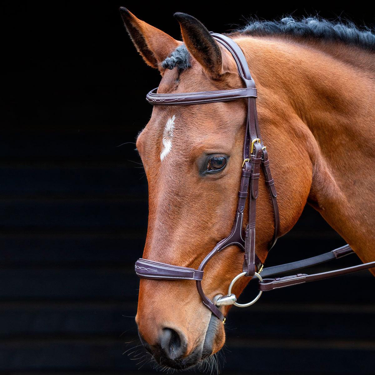 Salisbury Bridon Brampton - SHOPHORSE