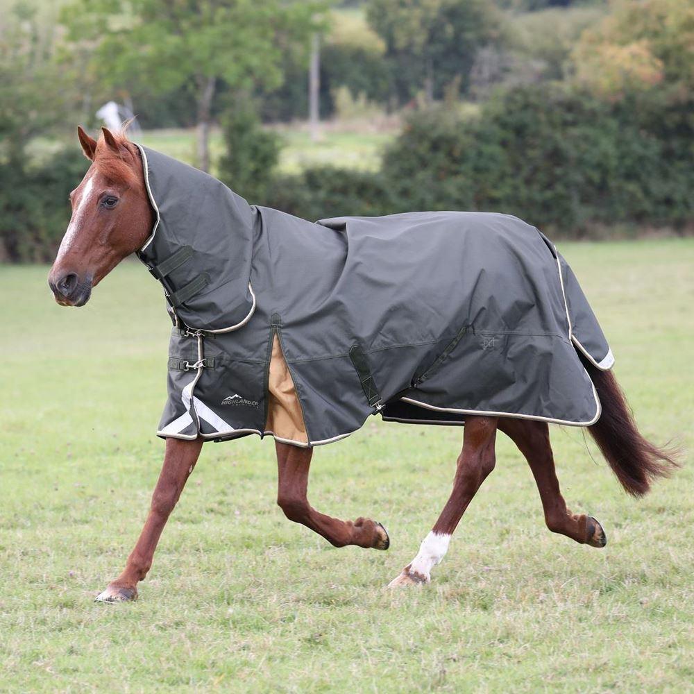 Shires Highlander Plus Combo - 50g - SHOPHORSE