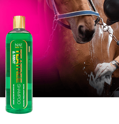 NAF Shampoing Tea Tree & Mint - SHOPHORSE