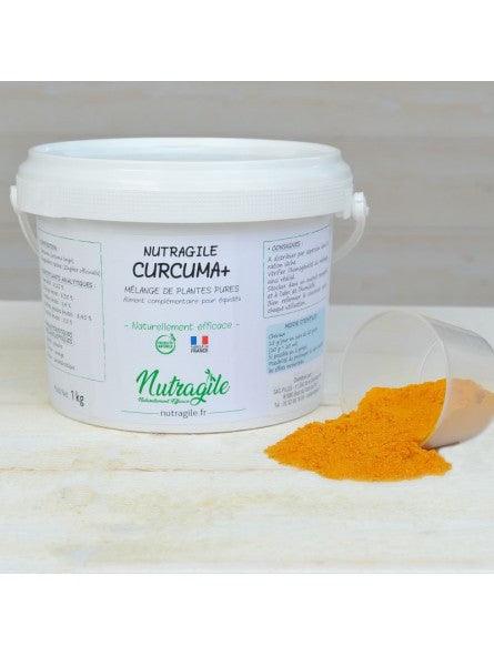 Nutragile Curcuma Plus - SHOPHORSE